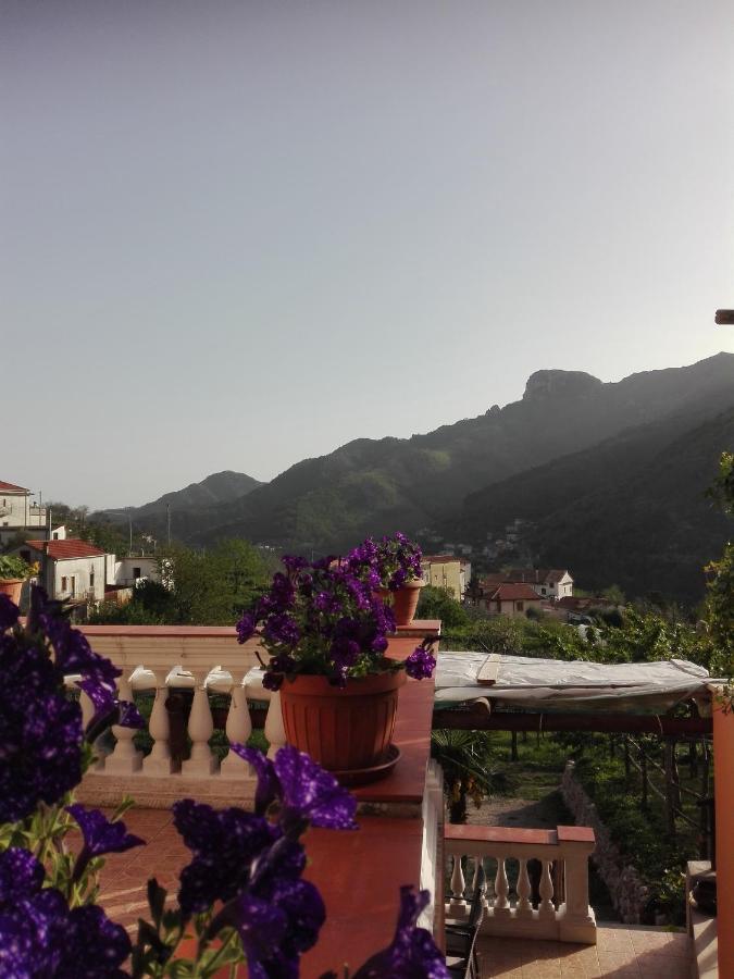 Ferienhaus Antica Casa Cavaliere